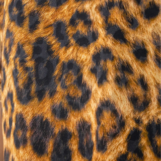 Poppy Top Leopard