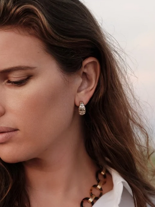 Safari Crocodile Hoops