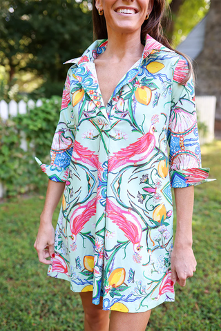 Shirt Dress Short