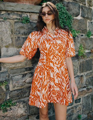 Marta Mini Dress Terracotta Zebra