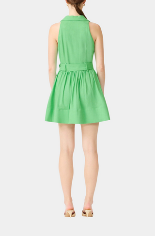 Emelie Collared Mini Dress