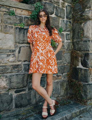 Marta Mini Dress Terracotta Zebra